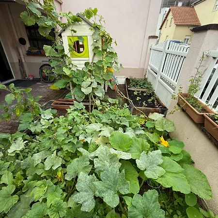 Cosy Dans Maison A Neudorf Proche Centre Avec Terrasse 公寓