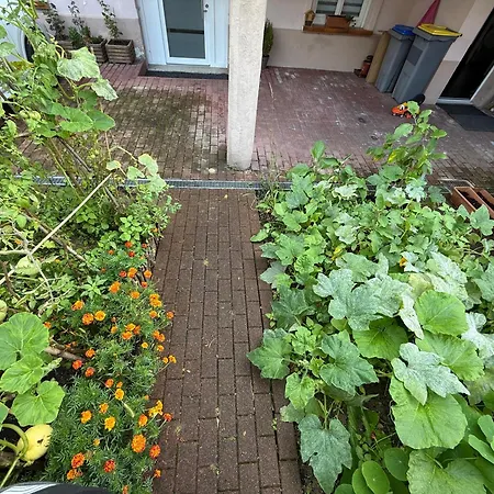 Cosy Dans Maison A Neudorf Proche Centre Avec Terrasse * Straßburg